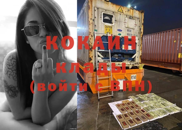 крисы Сосновка