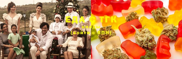 тгк Богородицк