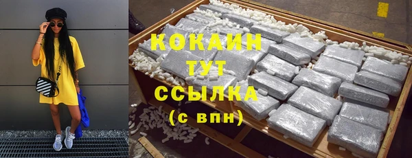 тгк Богородицк
