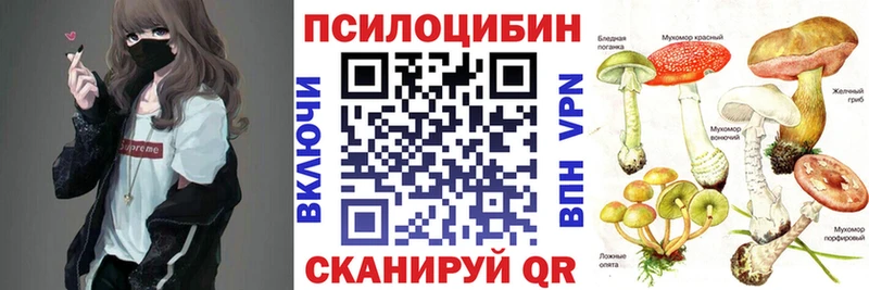 mega ССЫЛКА  где купить наркотик  Гусев  Галлюциногенные грибы MAGIC MUSHROOMS 